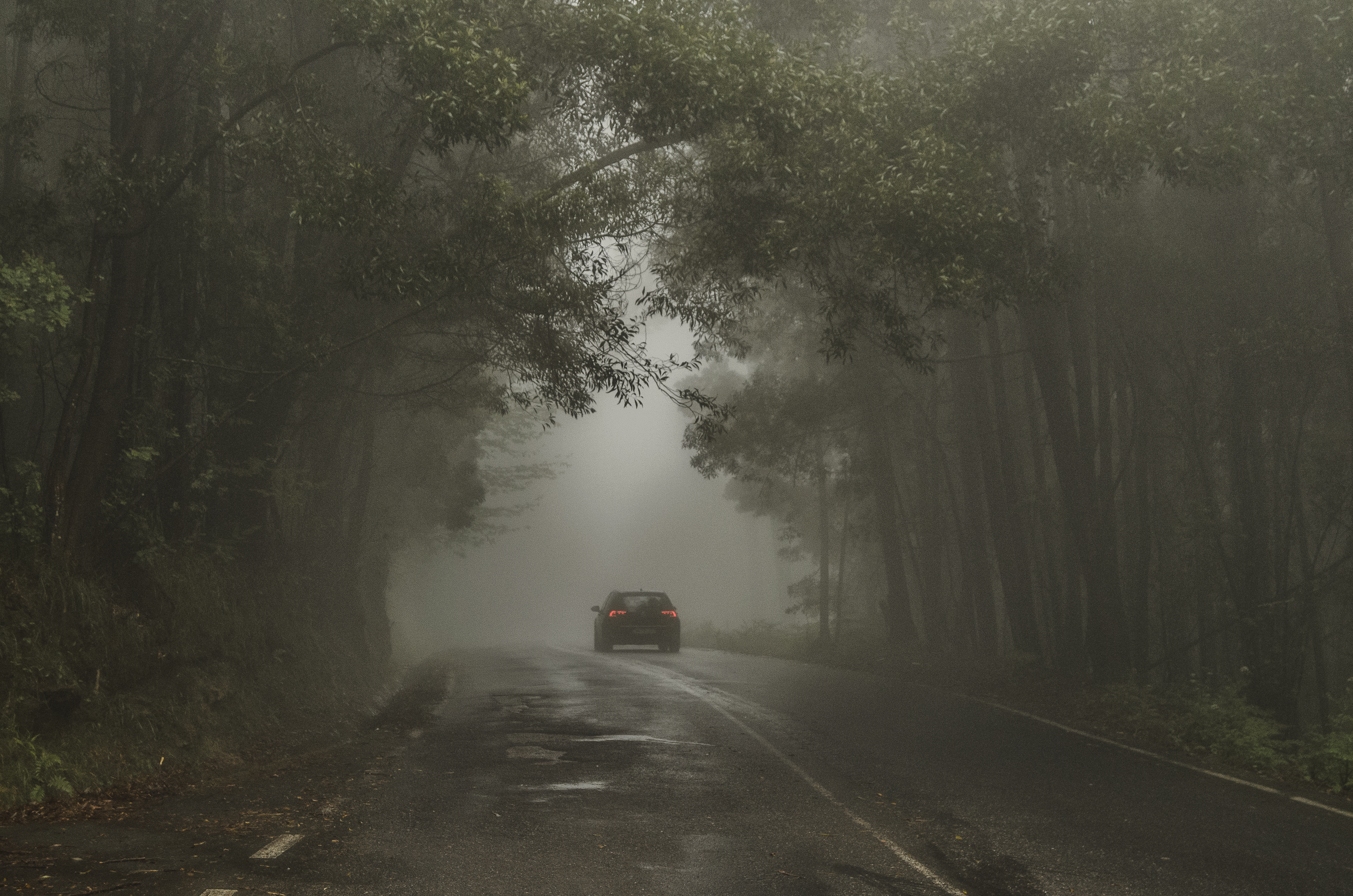 V mysli sériového vraha, 2. řada - miniature and main pic